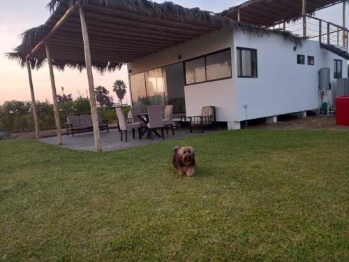Ica Casa | The Pacific Cottage