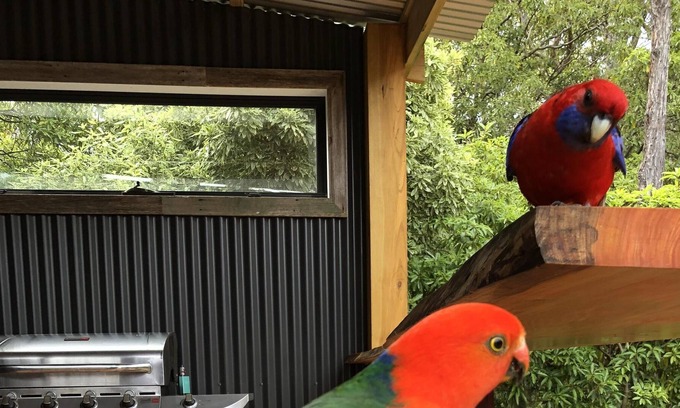 Coongulla Casa | EL LUGAR PARA SER UNAS VACACIONES IMPRESIONANTES EN LAKE GLENMAGGIE