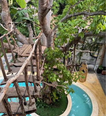 Brisas de Zicatela Hotel | The Pool Treehouse Hotel