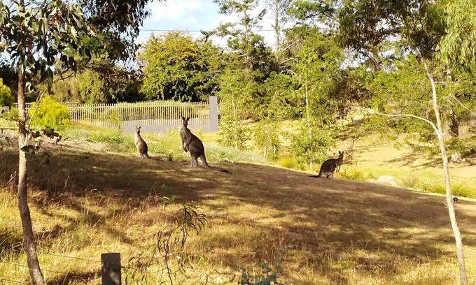 Hepburn Springs Casa | The Purple House - corner spa, views and wildlife in tranquil Hepburn Springs