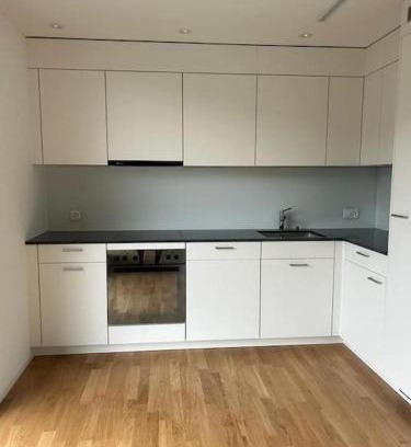 Balsthal Apartamento | The R Apartment Vogelberg, Gym, Balkon, Parking