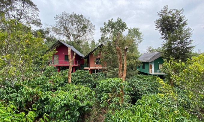 Kaimane Complejo | The Rain Tree Resort