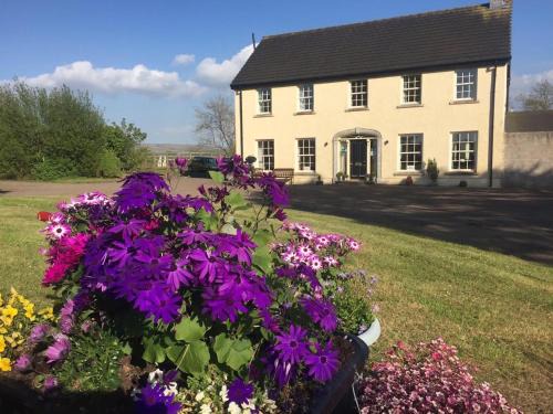 Crumlin Cama Y Desayuno | The Rocks B&B