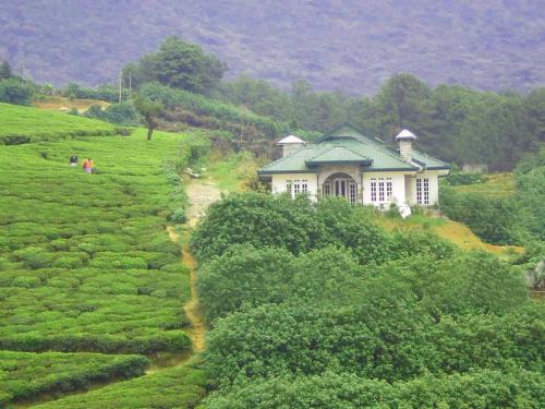 Nuwara Eliya Cama Y Desayuno | The Royal Terrace Holiday Bungalow