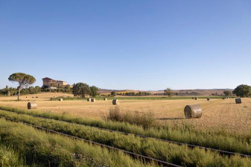 Monteroni d'Arbia Apartamento | The Runner House