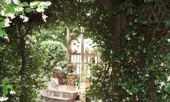 Brooksville Cabaña | El Shebeen Una pequeña cabaña irlandesa, ven a experimentar el encanto y la trnquilidad