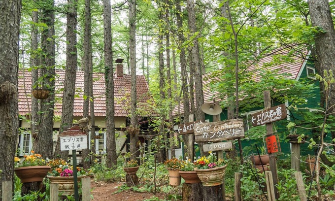 Nakasatsunai Casa | The squirrel's guesthouse Canterbury