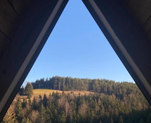 Kremna Chalet De Esquí | The Tara Concept