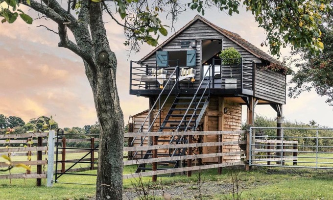 Broughton Hackett Otro | The Treehouse at Humblebee Hall