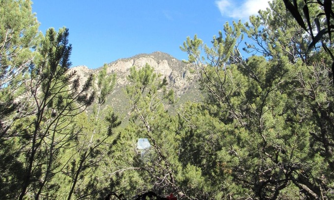 Crestone Casa | The Treehouse - ¡Mira los árboles y las montañas en lugar de tus vecinos!