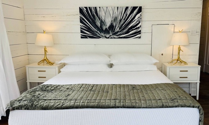 Albany Casa | The Western Belle