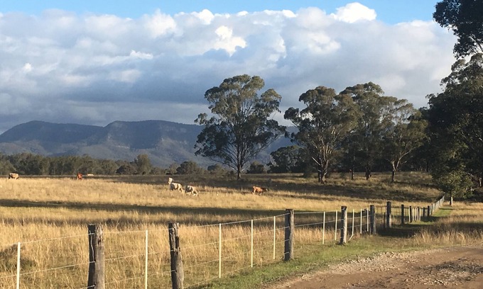 Pokolbin Apartamento | El cobertizo del leñador en Hunter Valley