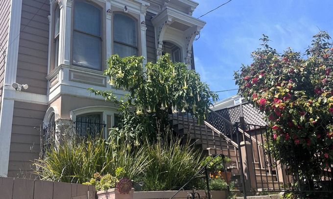 Mission District Apartamento | Thoroughly Modern Victorian Guest Suite on historic Mission District street.