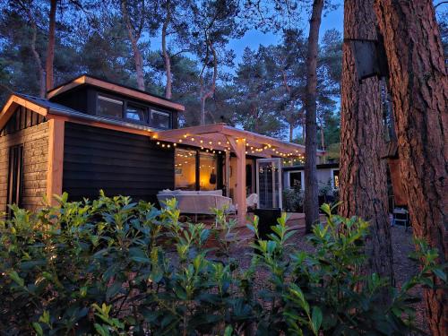 Zuidwolde Casa | Thuisje van Hout, tiny house in Drentse natuur