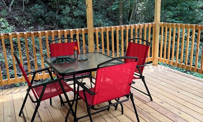Marion Cabina | Tiny Cabin in the Laurels, with queen bed & queen sofa bed in wooded setting.