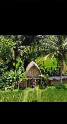 Sebatu Casa | tiny ECO bamboo house