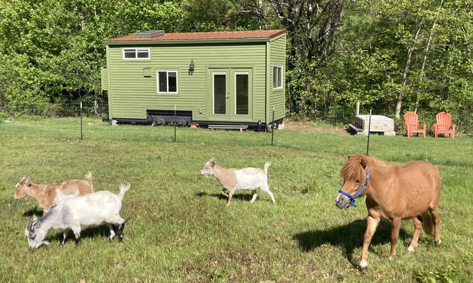 Appleton Cabaña | Tiny House at Hidden Meadow
