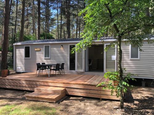 Wechelderzande Casa | Tiny house in the Antwerp Kempen