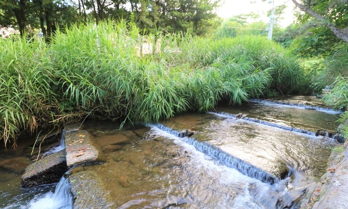 Usami Casa | Tiny house where the river of Izu flows / Ito Shizuoka