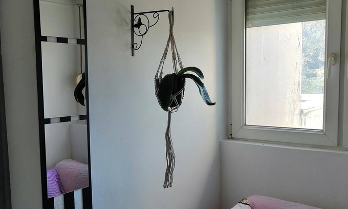 Palilula Apartamento | Tiny Romantic Flat in the Centre