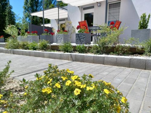 Dunapataj Apartamento | To8 apartman