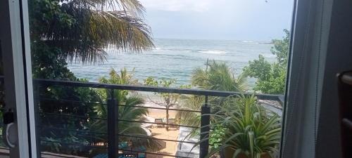 Unawatuna Casa | Toddy by windy