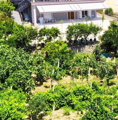 Mesopotam Apartamento | Toma's Guest House