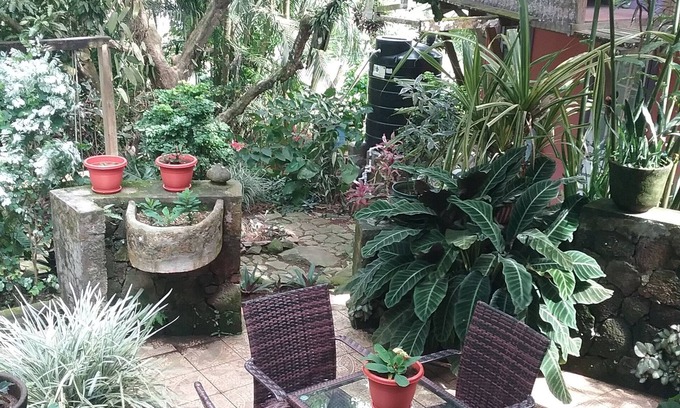 Soufriere Quarter Cama Y Desayuno | Tony & Aldona's Retreat