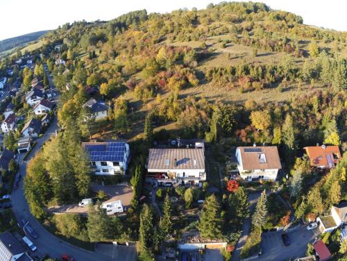 Wildberg Apartamento | 'Tor zum Schwarzwald' Ferienwohnungen mit Sauna