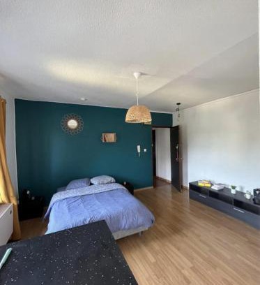Sarrebourg Apartamento | Torino - 2P - Appartement raffiné