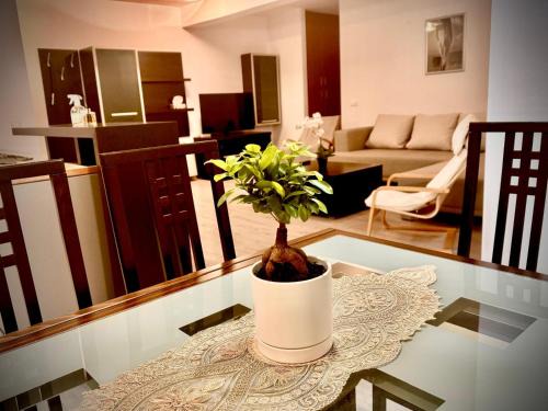 Timisoara Apartamento | Toronto rezidence