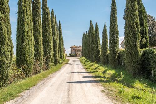 Ville di Corsano Apartamento | Torre di Corsanello