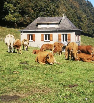 Campan Chalet De Esquí | Tourmalet