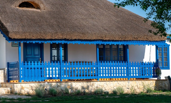 Tulcea County Casa | Traditional house with one bedroom apartment/ fireplace and porch.