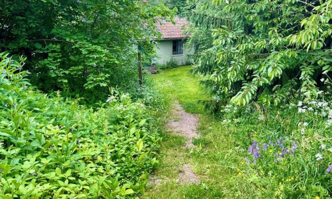 Avesta Cabaña | Tranquil Lakeside Cottage Retreat