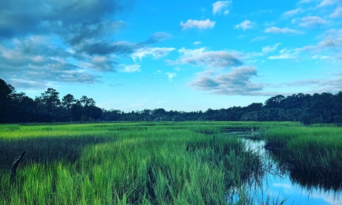 Redhill Cabaña | Tranquil Water Front cottage, 35 Min to Charleston, Beach 20 min, Pet-Friendly