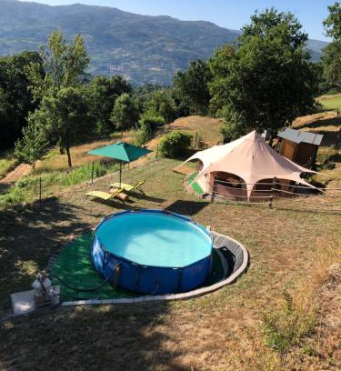 Baiao Otro | Tranquility Tent