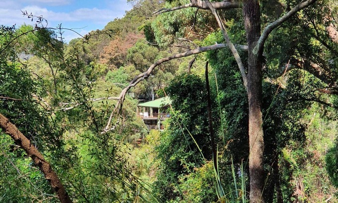 Bar Point Casa | Tree house by the river - forest serenity just an hour from the city