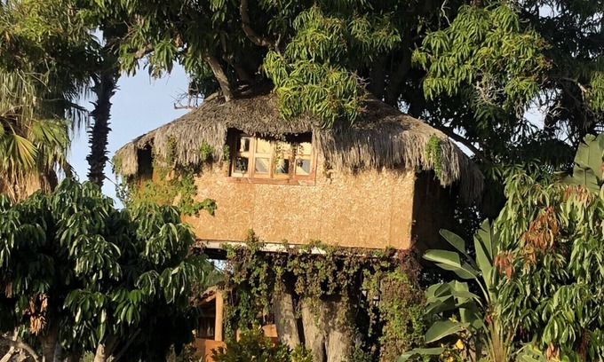 Todos Santos Casa | CASA ÁRBOL ubicada en Rancho Danza del Sol