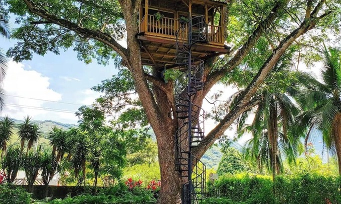 Utica Casa | Casa en el árbol Lunna, cerca a Bogotá en Utica Cundinamarca