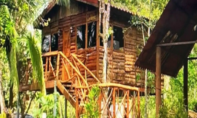 Florencia Cabina | Tree House River