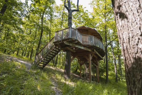 Jinacovice Otro | TREE HOUSE U Mravence