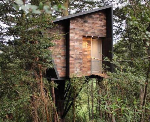 Puqueldon Cabina | TREE LODGE CHILOE