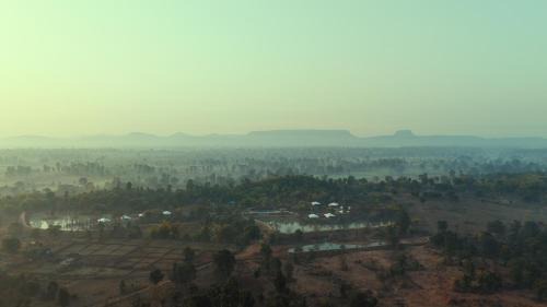Damoy Otro | Tree of Life Ramvilas, Bandhavgarh