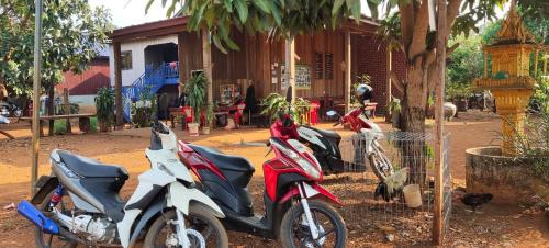 Ban Lung Cabina | Tree Trails Homestay & Offers Jungle Trekk-Scooter For Rental