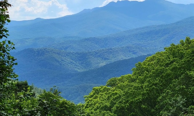 Apple Ridge Casa | Treehaven 2BR/2.5 BA Upscale Home near Blowing Rock