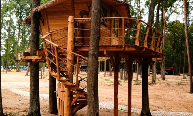 Hradec Kralove Casa | Treehouse 1 by Interhome