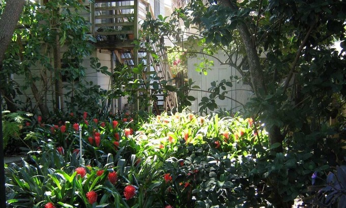 Historic Uptown Apartamento | Treehouse 1BR Apt. Near Downtown, Private