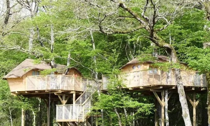 Dienne Cabina | Defiplanet 'a Jenne - Hut In The Trees 4 Personas