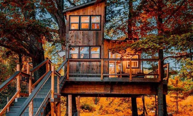 Willington Cabina | Treehouse - Countryside - Farm Animals - Fire Pit